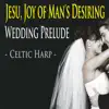 Jesu, Joy of Man's Desiring: Wedding Prelude (Celtic Harp) - Single album lyrics, reviews, download