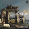 Guido Balestracci, Les Basses Réunies & Bruno Cocset - Sonata for 2 Violas da gamba & Basso continuo, Op. 2 No. 2: IV. Presto