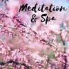 Nature Sounds Spa Therapy - Music for Relaxation