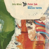 Peter Zak - Reflections
