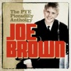 Joe Brown & The Bruvvers - That's What Love Will Do