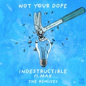 Indestructible (feat. MAX) [Jyye Remix] artwork