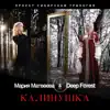 Stream & download Калинушка - Single