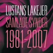 Samlade Synder 1981-2007 artwork