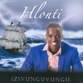 Izivunguvungu artwork