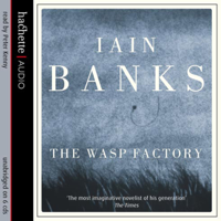 Iain Banks - The Wasp Factory artwork