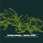 Patrice Bäumel - Roar (Adana Twins Remix)