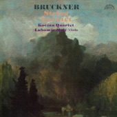 Bruckner: String Quintet artwork