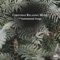 Fly Me to the Moon - Alberto Traversi lyrics