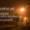 Cedros Del Libano En Concierto