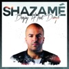 Shazamé (feat. Daryl) - Single