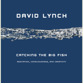 Catching the Big Fish: Meditation, Consciousness, and Creativity (Unabridged) - David Lynch