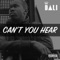 Can't You Hear - DALI lyrics