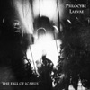 The Fall of Icarus - Single