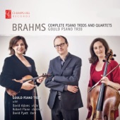 Brahms: Complete Piano Trios and Quartets artwork