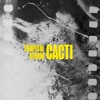 Cacti - Tropical Storm (Cospe Remix)