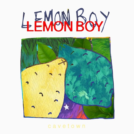 Cover artwork for Fool