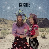 Brigitte - Le chat