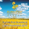 Aurea Fest Požega 2017, 2017