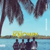 Should've Known (feat. Roméo Testa) - Single