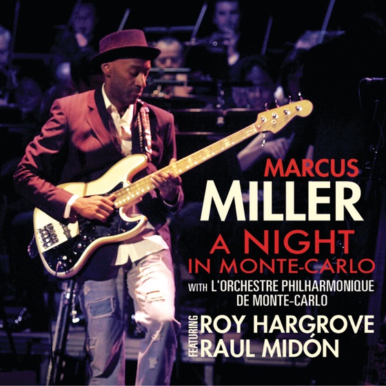 Cover artwork for Your Amazing Grace (feat. Raul Midón)