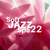 Soft Jazz Spa 22 artwork