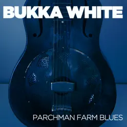 Parchman Farm Blues - Bukka White