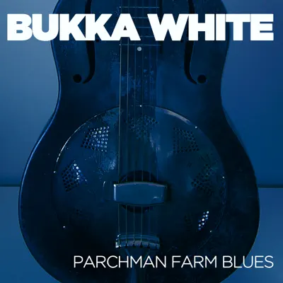 Parchman Farm Blues - Bukka White