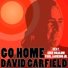 Go Home (feat. Kirk Whalum & Paul Jackson Jr) - Single
