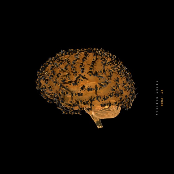 Cover artwork for Pure