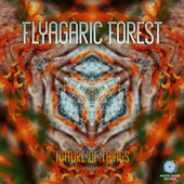 Flyagaric Forest - Mindset