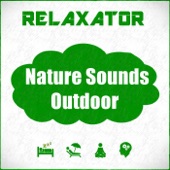 Nature Sounds Outdoor artwork