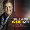 Eshghe Tazeh (Remix) - Single