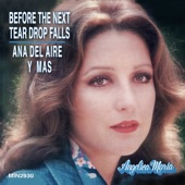 Before The Next Tear Drop Falls artwork