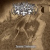 Nocturnal Abominations