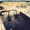 Joe Henry - Kindness of the World