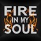 Fire in My Soul artwork