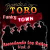 Funky Town Recordando los Éxitos, Vol. 6