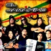 El Jamaikino - Tu eres el amor