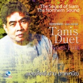 เพลงเด็ดพื้นบ้าน (Thai Flute Music By Tanis Sriklindee) artwork
