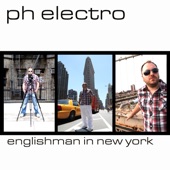 Englishman in New York (Radio Edit) artwork