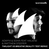 Twilight vs. Breathe (Feat. Haliene & Matthew Steeper) [Reality Test Remix] - Single