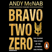 Andy McNab - Bravo Two Zero artwork