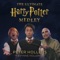 The Ultimate Harry Potter Fan Theory Medley: Hedwig's Theme / Fawkes the Phoenix / Double Trouble / Underwater Secrets / Dumbledore's Army / In Noctem / Obliviate / Lily's Theme (feat. Evynne Hollens) artwork