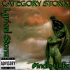 Category Storm