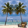 Latin Hot Mix, Vol. 14 artwork