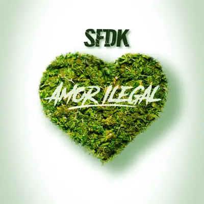 Amor Ilegal - Single - Sfdk