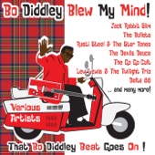 Bo Diddley Blew My Mind artwork