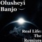 Lesson Learned (M. Fasol Remix) - Olusheyi Banjo lyrics