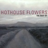 The Best of Hothouse Flowers artwork